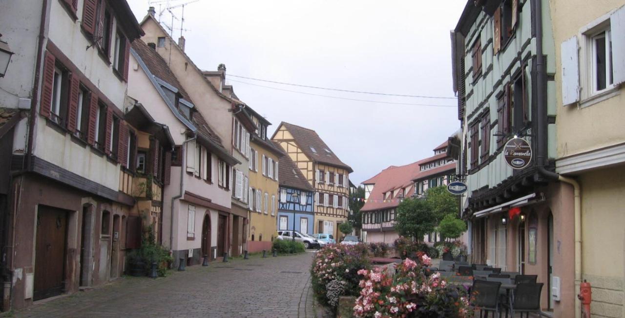 Appartement Neuf et cosy à Barr, route des vins Extérieur photo